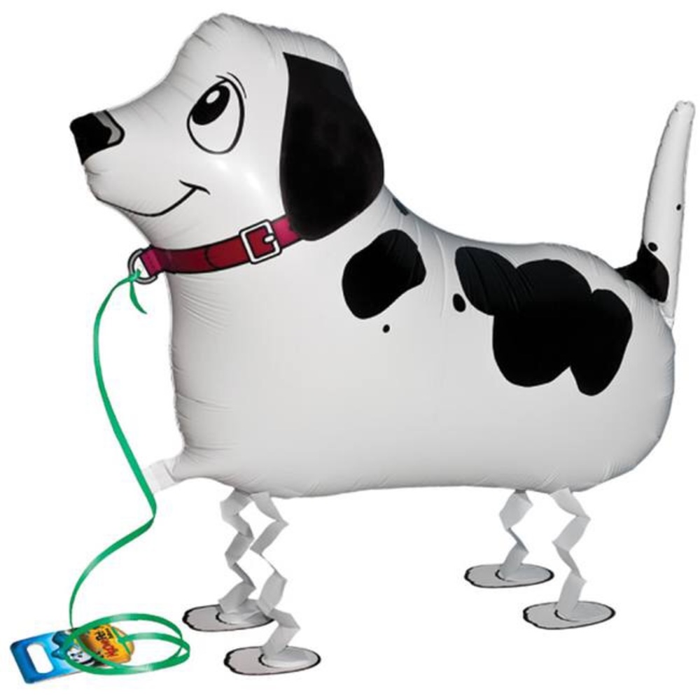 My Own Pet Balloon Pointer